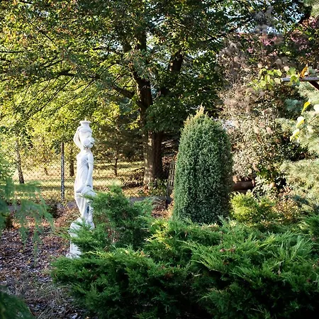 Motelik Julia * Siedlce